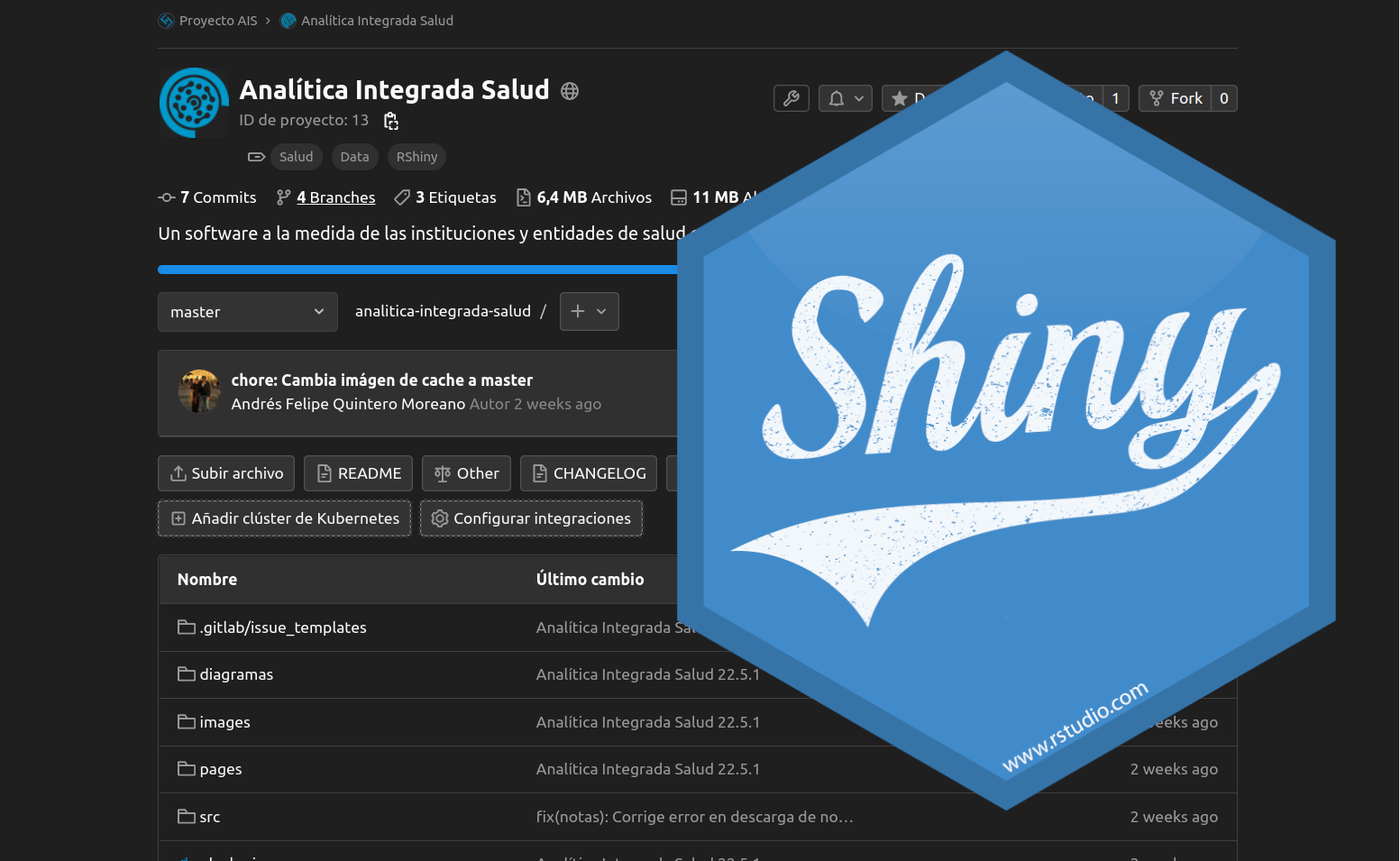 Analítica Integrada Salud, una herramienta de aprendizaje para desarrolladores R/Shiny